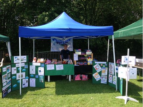 WLSS at Harleston School Fete WLSS at Harleston School Fete
